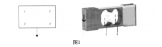 云网客1.jpg